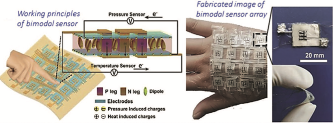 ZT Group research project showing bimodal sensor working principles and fabricated sensor array